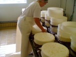 Het keren van de kaas tijdens het uitlekproces